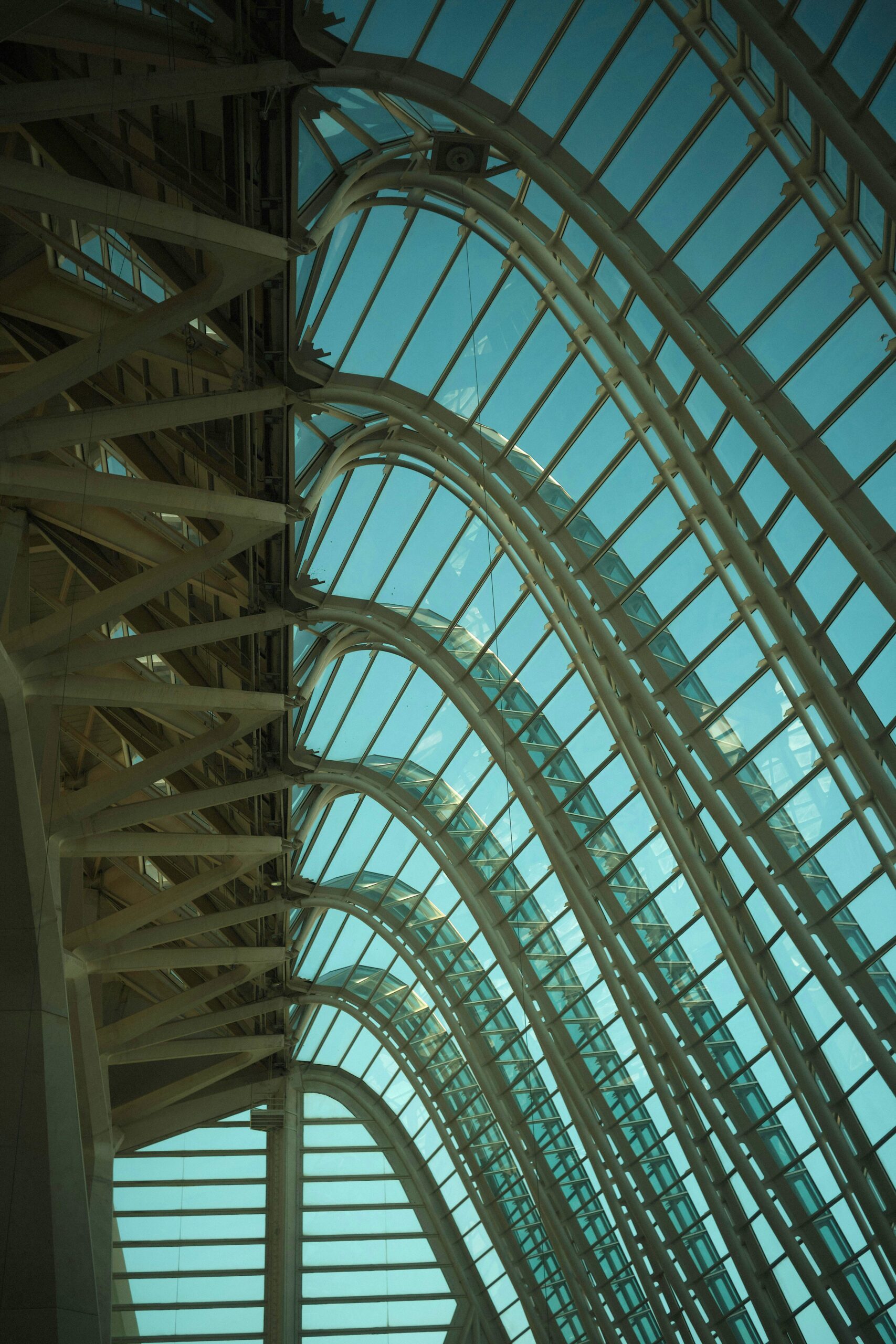 pexels erik schereder 3173655 19836389